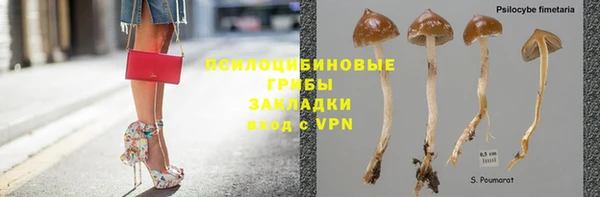 синтетический гашиш Заводоуковск