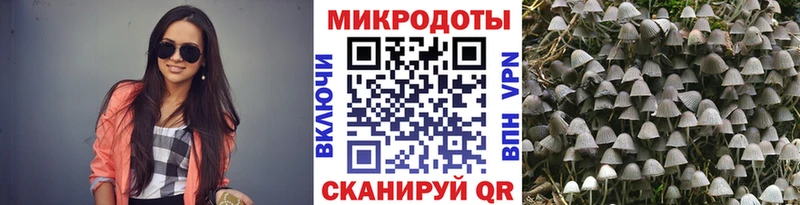 купить наркоту  Зарайск  Галлюциногенные грибы прущие грибы 