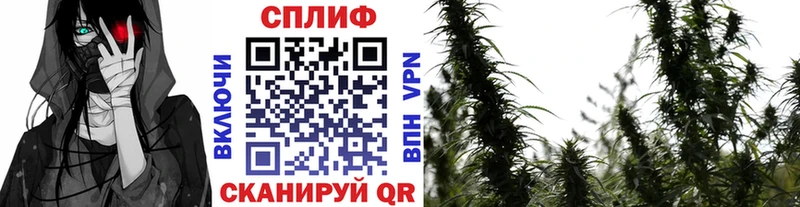 МАРИХУАНА тримм  Зарайск 